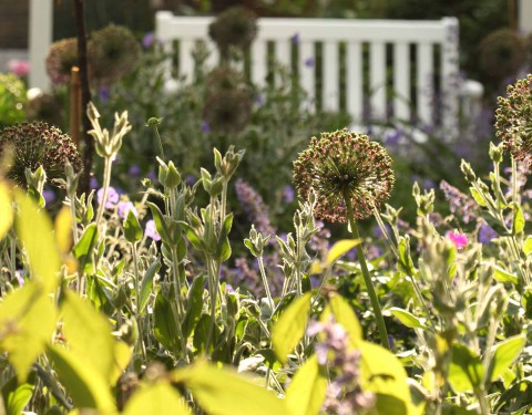 Medium Town Flower Garden