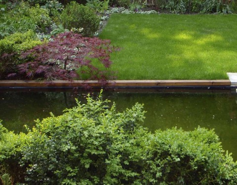 Medium Pond Garden