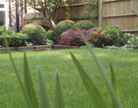 Medium Pond Garden